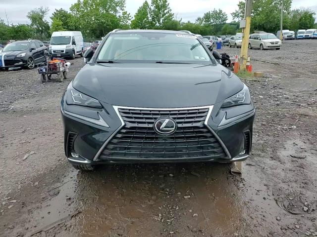 2020 Lexus Nx 300 Luxury VIN: JTJHARDZ2L2218055 Lot: 67436205