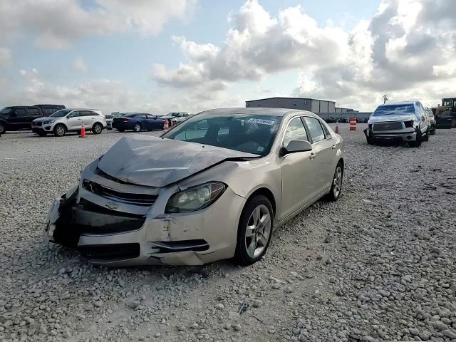 2009 Chevrolet Malibu 1Lt VIN: 1G1ZH57B09F177784 Lot: 67610665