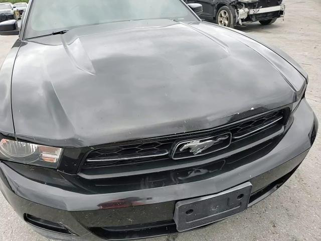 2011 Ford Mustang VIN: 1ZVBP8AM6B5148368 Lot: 67583695