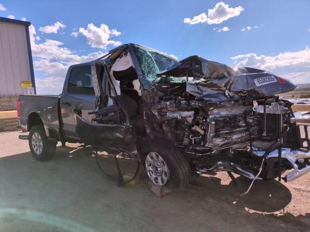 2024 Ford F250 Super Duty VIN: 1FT7W2BT9REE87246 Lot: 65382355