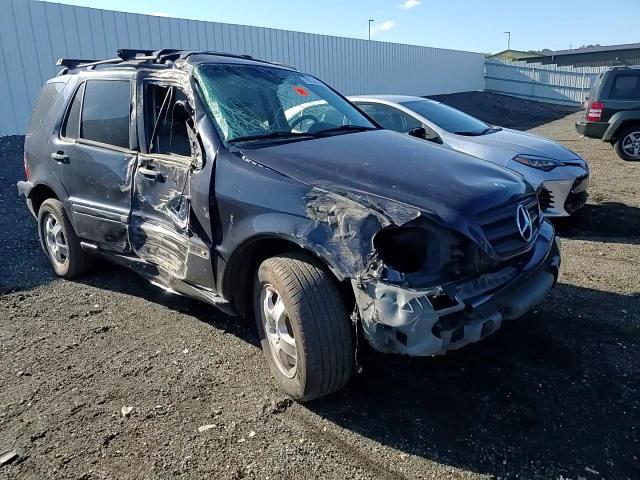 2002 Mercedes-Benz Ml 320 VIN: 4JGAB54E12A322589 Lot: 70114945