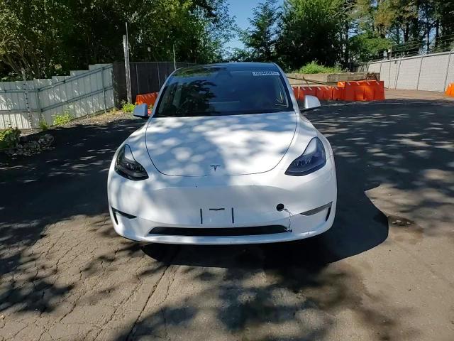 2024 Tesla Model Y VIN: 7SAYGDEE1RA251053 Lot: 66946865