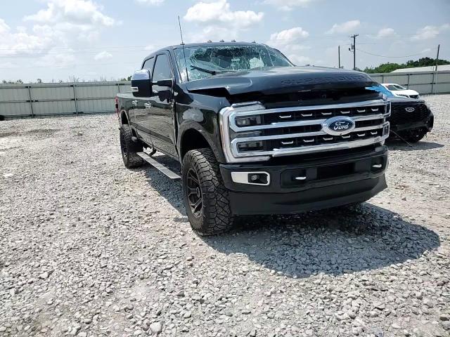 2024 Ford F250 Super Duty VIN: 1FT8W2BT0REC66199 Lot: 69114195