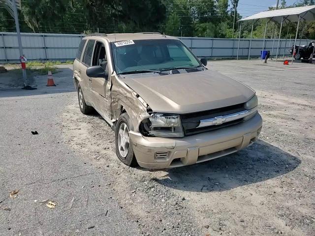 2006 Chevrolet Trailblazer Ls VIN: 1GNDS13S062317828 Lot: 69212255