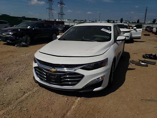 2019 Chevrolet Malibu Lt VIN: 1G1ZD5ST1KF127171 Lot: 68883725