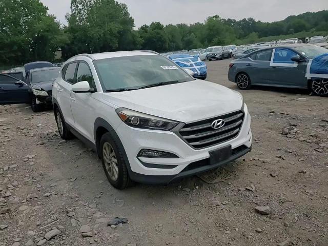 2016 Hyundai Tucson Limited VIN: KM8J3CA44GU102513 Lot: 67103295