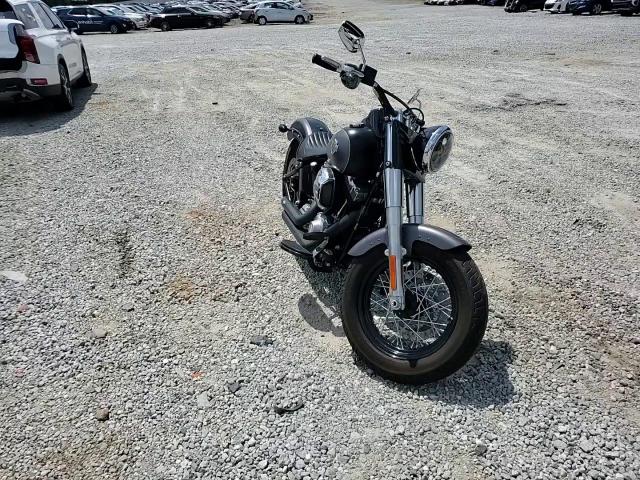 2017 Harley-Davidson Fls Softail Slim VIN: 1HD1JRV16HB039570 Lot: 70672345
