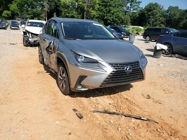 2020 Lexus Nx 300H VIN: JTJGJRDZ2L2145538 Lot: 69411555