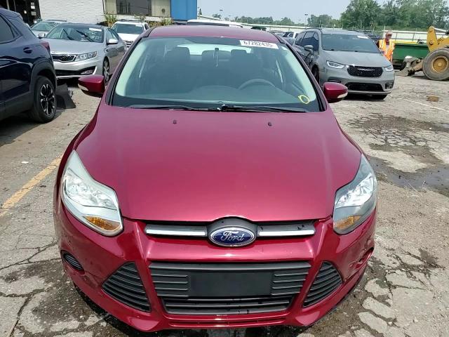 2014 Ford Focus Se VIN: 1FADP3F24EL223466 Lot: 67282435