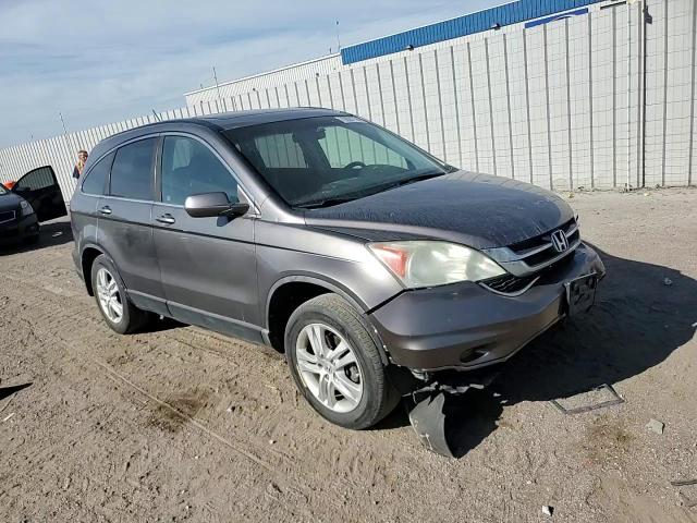 2010 Honda Cr-V Exl VIN: 5J6RE4H77AL044895 Lot: 70828705