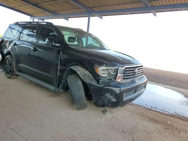 2019 Toyota Sequoia Sr5 VIN: 5TDBY5G18KS166148 Lot: 70211865