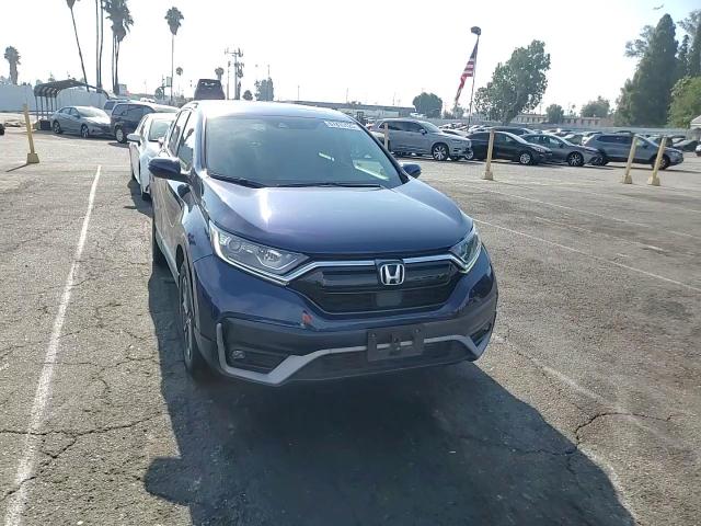 2020 Honda Cr-V Ex VIN: 5J6RW1H50LA009933 Lot: 67810125