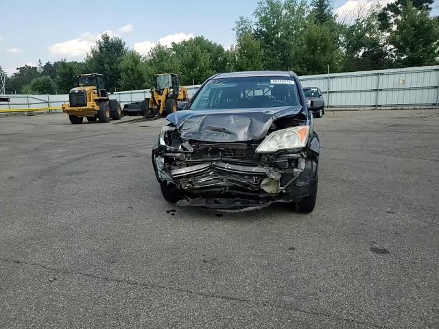 2009 Honda Cr-V Lx VIN: 5J6RE48389L013227 Lot: 68743475