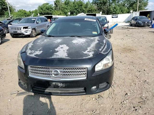 2009 Nissan Maxima S VIN: 1N4AA51E09C853749 Lot: 68028465
