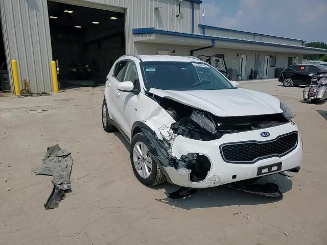 2019 Kia Sportage Lx VIN: KNDPMCACXK7624637 Lot: 67209995