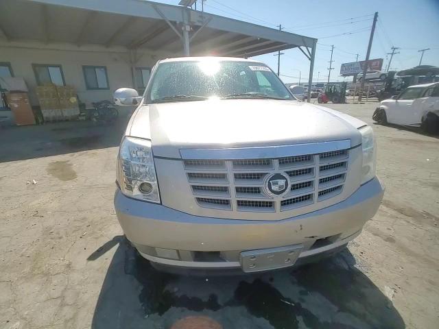 2009 Cadillac Escalade Sport VIN: 1GYFC53269R123266 Lot: 70877705