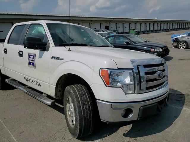 2011 Ford F150 Supercrew VIN: 1FTFW1EF0BFB46250 Lot: 69608225