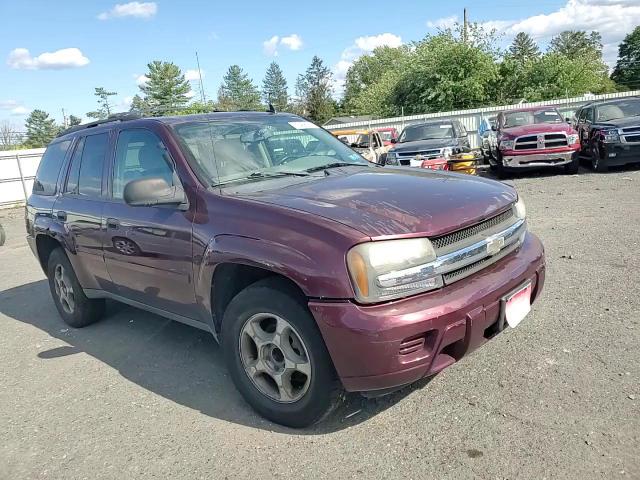 2006 Chevrolet Trailblazer Ls VIN: 1GNDT13S062345268 Lot: 70456205