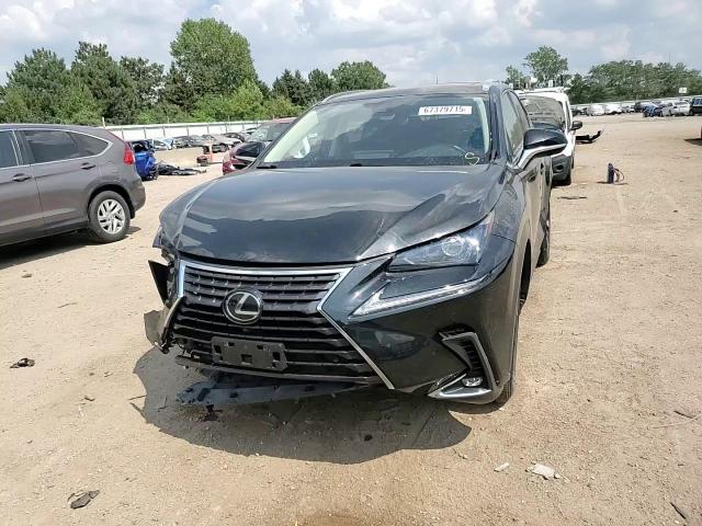 2021 Lexus Nx 300 Base VIN: JTJGARDZ3M2248887 Lot: 67379715
