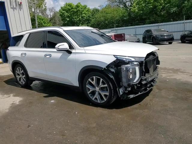 2020 Hyundai Palisade Sel VIN: KM8R4DHE0LU172024 Lot: 68169325