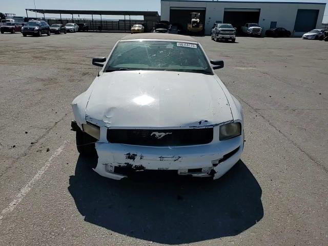 2005 Ford Mustang VIN: 1ZVFT84N555219808 Lot: 68108775