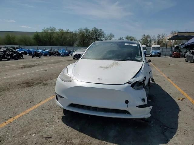 2023 Tesla Model Y VIN: 7SAYGDEF8PF870516 Lot: 80911025