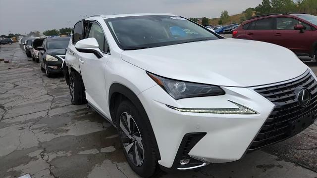 2019 Lexus Nx 300 Base VIN: JTJBARBZ8K2202742 Lot: 70371535