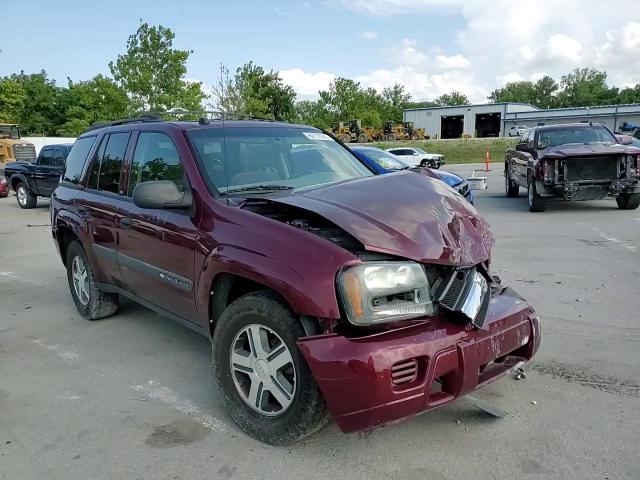 2004 Chevrolet Trailblazer Ls VIN: 1GNDT13S542446593 Lot: 69777945