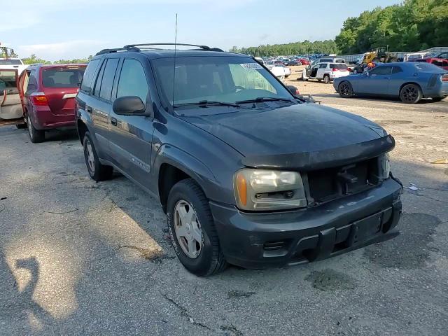 2003 Chevrolet Trailblazer VIN: 1GNDS13S932309593 Lot: 68260995