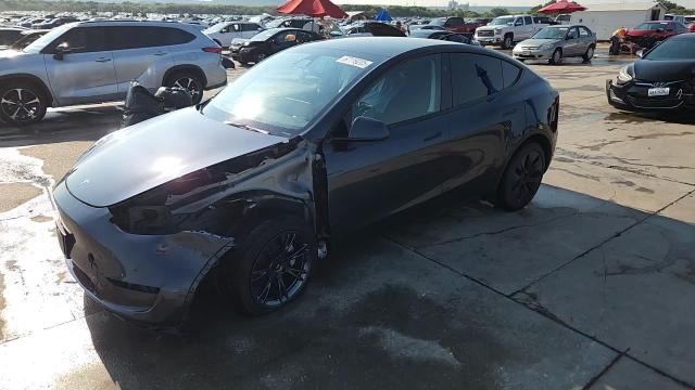 2025 Tesla Model Y VIN: 7SAYGDED8SA338056 Lot: 67119205