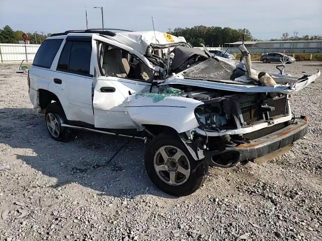 2006 Chevrolet Trailblazer Ls VIN: 1GNDS13S462150244 Lot: 66184744