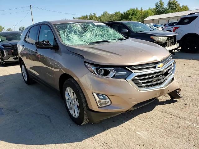 2019 Chevrolet Equinox Ls VIN: 2GNAXHEV8K6136493 Lot: 72782014