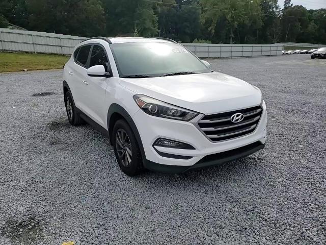 KM8J33A44HU365568 2017 Hyundai Tucson Limited