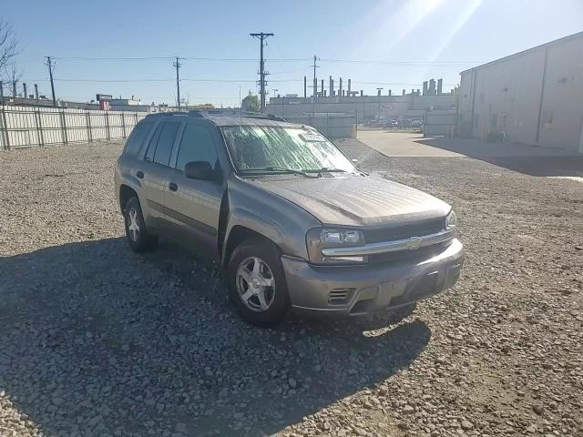 2005 Chevrolet Trailblazer Ls VIN: 1GNDT13S252350793 Lot: 71967444