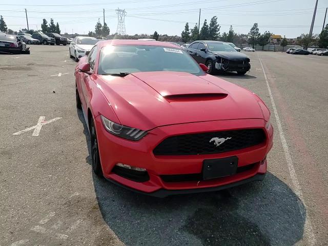 2017 Ford Mustang VIN: 1FA6P8AM3H5203684 Lot: 70844554