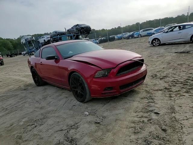 1ZVBP8AM7D5218754 2013 Ford Mustang