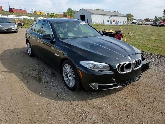 2013 BMW 528 Xi VIN: WBAXH5C58DDW12499 Lot: 71939804