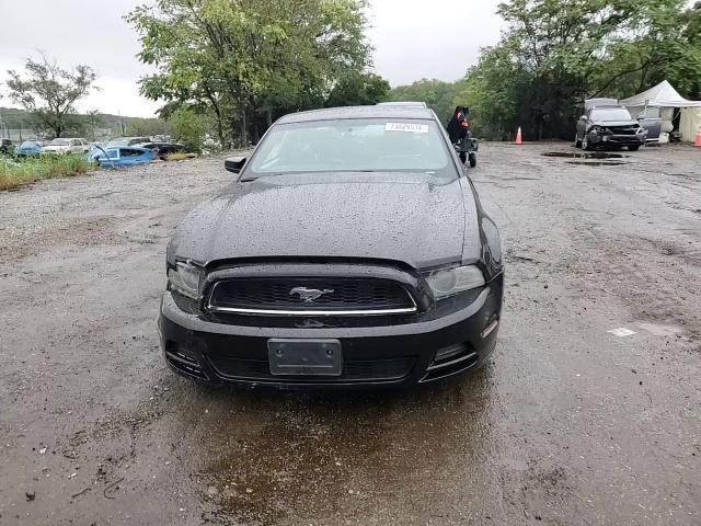 2013 Ford Mustang VIN: 1ZVBP8AM7D5251690 Lot: 73429514