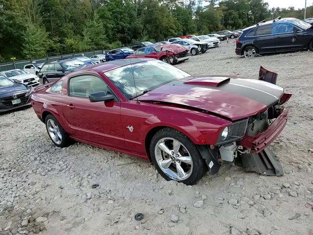 2009 Ford Mustang Gt VIN: 1ZVHT82HX95103967 Lot: 72455334