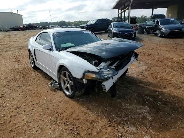 2003 Ford Mustang Cobra Svt VIN: 1FAFP48Y33F397086 Lot: 73212754