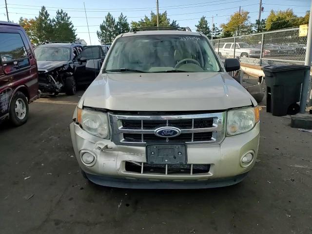 2011 Ford Escape Xlt VIN: 1FMCU9DG7BKB72848 Lot: 73520564