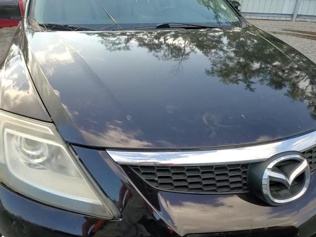 2009 Mazda Cx-9 VIN: JM3TB38A890165563 Lot: 73575714