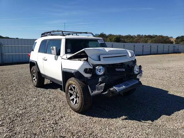 JTEBU4BF2AK080733 2010 Toyota Fj Cruiser