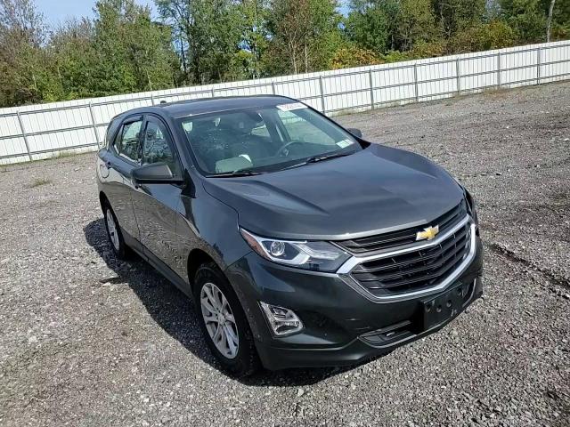 2019 Chevrolet Equinox Ls VIN: 2GNAXSEV8K6283328 Lot: 73626744