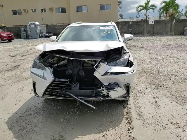 2021 Lexus Nx 300 Base VIN: JTJDARBZ8M5030982 Lot: 71633304