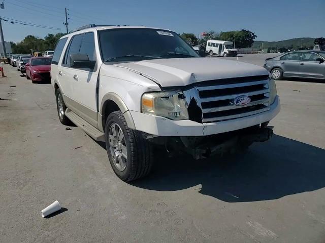 2010 Ford Expedition Eddie Bauer VIN: 1FMJU1H55AEA34529 Lot: 76668254