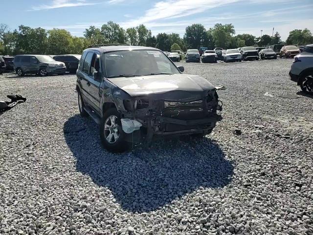 2007 Ford Escape Xlt VIN: 1FMYU03197KA24898 Lot: 69405924