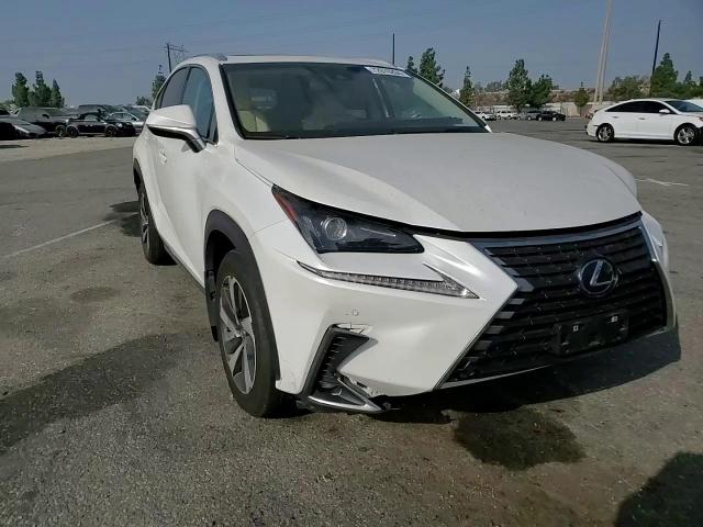 2018 Lexus Nx 300H VIN: JTJBJRBZ3J2077924 Lot: 72676204