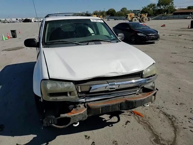 2004 Chevrolet Trailblazer Ls VIN: 1GNDT13S342443160 Lot: 82535564