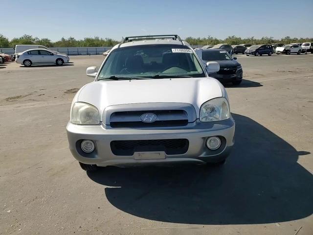 2003 Hyundai Santa Fe Gls VIN: KM8SC13D43U363804 Lot: 71105204